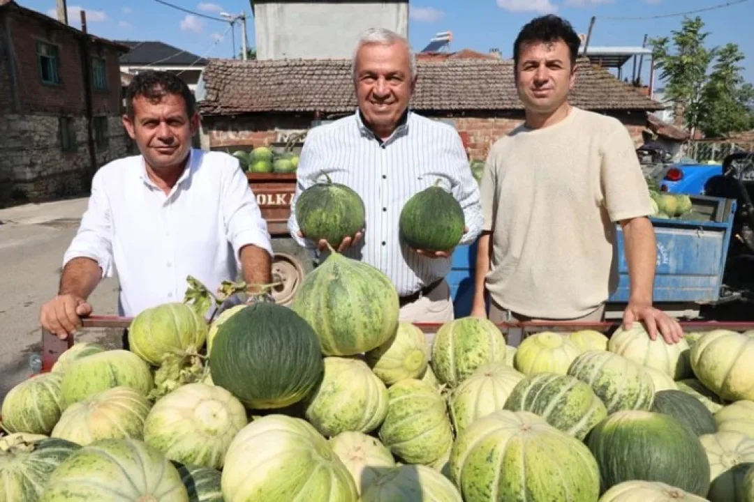 Bursa Nilüfer’de Konaklı Kavunu Üretimi İki Katına Çıktı